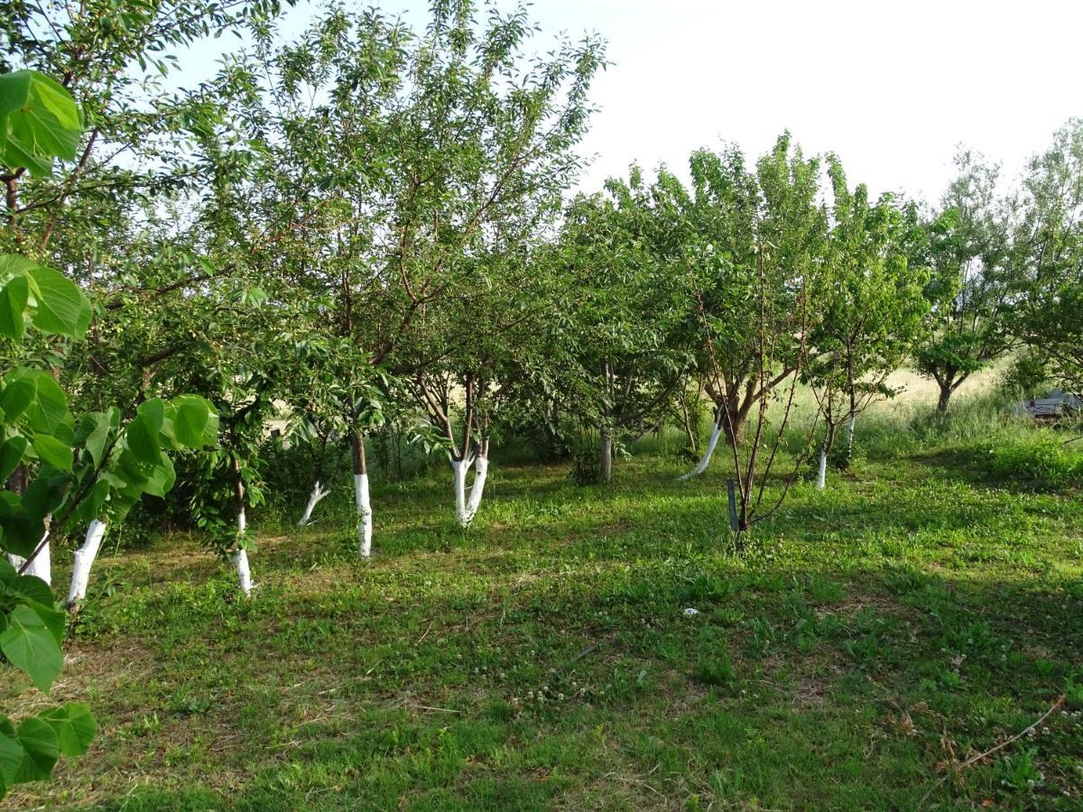 Melenios Houses Samothráki Buitenkant foto